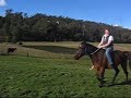 Montypants