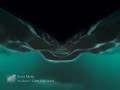PS3 Visualization Demo (Wave/Land/Flying)