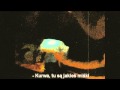 Gry RPG po polsku - Neuroshima - Neuroshima Ruiny