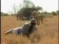 wow look at this brave man facing lion