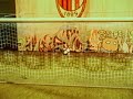 Fifa09 goal Fifa09 goal