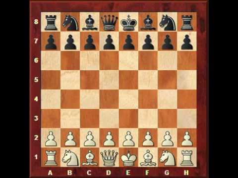 chess tactics chess tactics