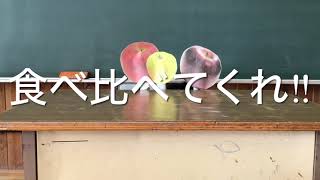 中野市りんご３兄弟