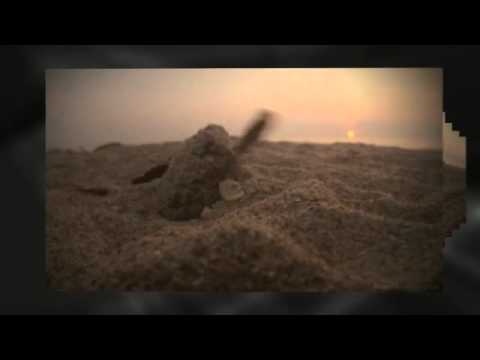 video:Denver Chiropractor | Pain Relief | Dr. John Brockway, DC | Glendale Chiropractic
