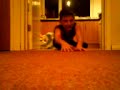 midgetmen