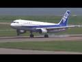 All Nippon Airways (ANA) Airbus A320-200 @ Niigata 【JA8313】