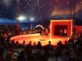 van circus Picolini naar Bazzini