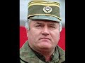 Srpski Guslar