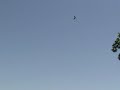 Maiden Flight of the Super Zagi-XS Built the Rite Way