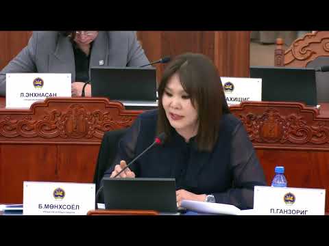 П.Сайнзориг: Төрийн өмчит компанийн засаглалыг сайжруулж, төсвийн бодлоготой уялдуулах ёстой