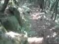 AlpenTrail Karwendel-Monte Grappa Teil 2