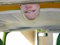 Our VW Bus \"Sweet Pickles\"