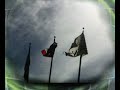 bum video