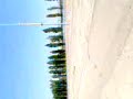gusty 206 trompito