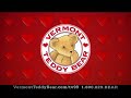Vermont Teddy Bear spot by Fuseideas