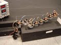 biomorph snake robot: emergent behaviour