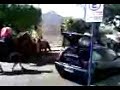 Gol Pancad�o