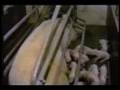 Earthlings (地球上的生靈) Part 1d (繁體中文字幕)