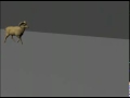 goat walk cycle animation