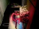 Theme Night.MOV