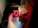 Theme Night.MOV