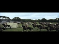 Warhorse Official Trailer HD