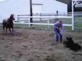 Jonny Gates Roping Calves on Oakie