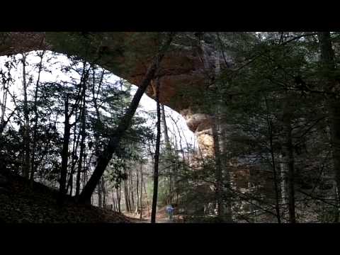 grand national results