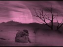 شرين بطمنك جديد