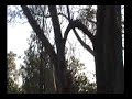 Keven.L. trop drôle !.mp4