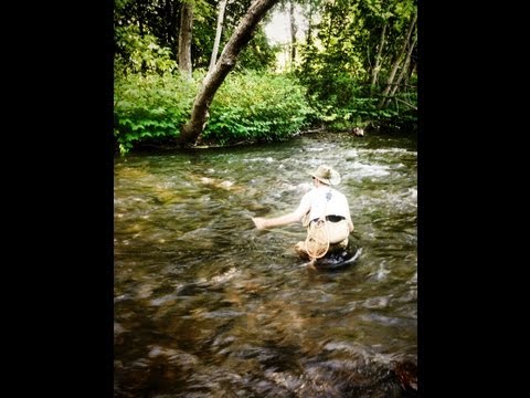 trouts - With the March Brown hatch now in full swing. I decided to go to a small stream that an old friend showed me 25 years ago. He said it had some great March Br...