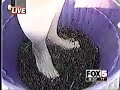  Grape stomping lady falls funny news family guy reporter slip slips cheating grapes getting hurt