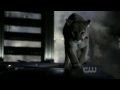 TRANSFORM 879222.avi