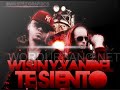 Wisin y Yandel   Te Siento