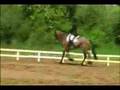 videos de beguin en concours