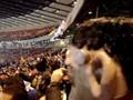 Hampden Roar