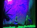 Tarzan de musical in scheveningen
