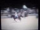 newman fontainebleau 1m15