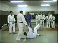 Judo Hungary - Technikák 1992 Hangyási László