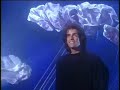 David Copperfield part 14/17 Fly