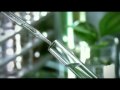091122 - Corporate video, Infinitus Malaysia (Eng) VCD 6.02.MPG