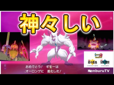 動画
