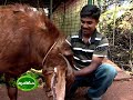 Success story of an enterprising youth engaged in goat rearing.Has a variety of breeds of goat.