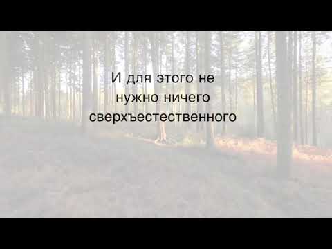 video-show