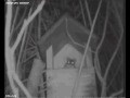 The Mouse ran up the Clock