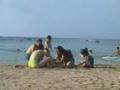 Latakia fun