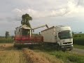 CLAAS LEXION 540C battage blé 2007
