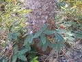 DSCF1059