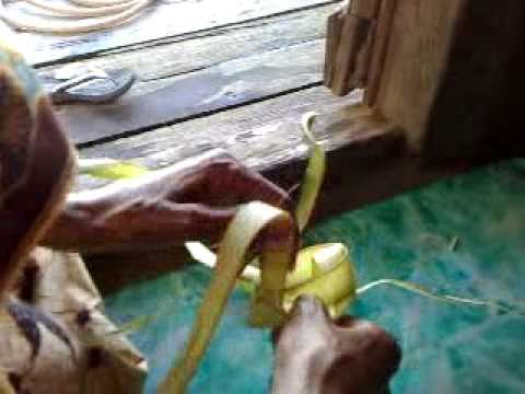 Weaving a bird ketupat