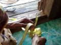 Ketupat burung - Weaving bird Ketupat